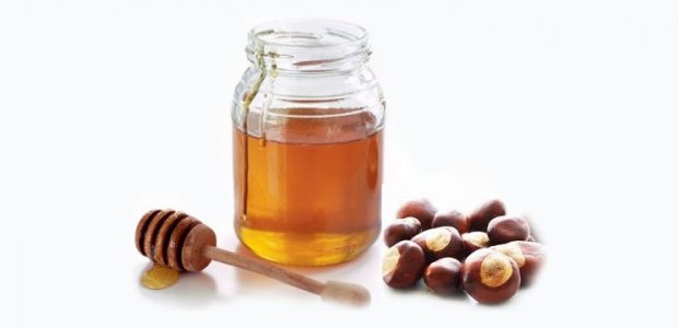 Каштановый мед – польза и особенности выбора