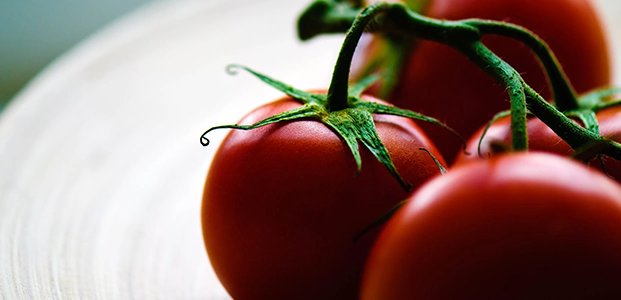 Сорта томатов для открытого грунта — подбор по регионам России