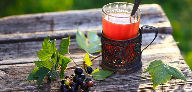 Чай с черной смородиной – полезные свойства и вред