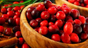 Клюква – как хранить вкусную ягоду