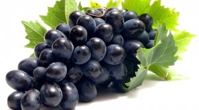 Советы по уходу за виноградом — как посадить, чем опрыскать, когда подкармливать