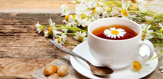 Ромашковый чай – польза, вред и лечебные свойства