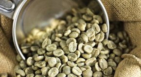 Зеленый кофе – состав, польза и вред