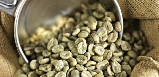 Зеленый кофе – состав, польза и вред