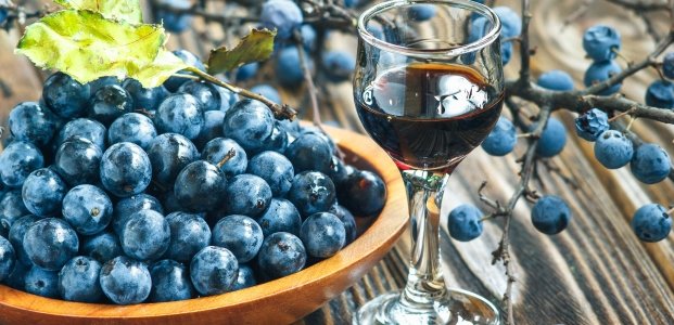 Вино из терна – 4 простых рецепта