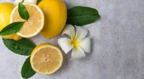 Лимон – польза, вред и противопоказания