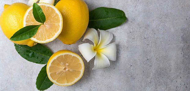 Лимон – польза, вред и противопоказания