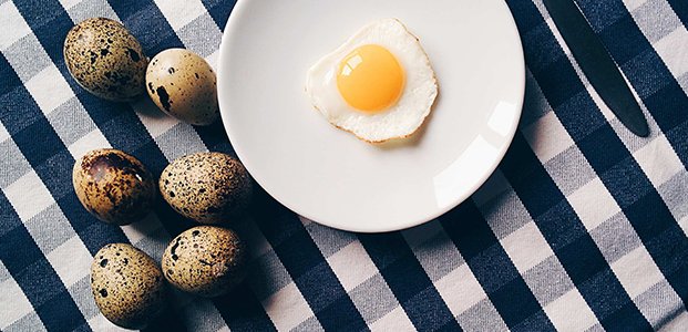Перепелиные яйца – польза, вред, норма употребления