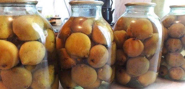Компот из груш – 4 простых рецепта