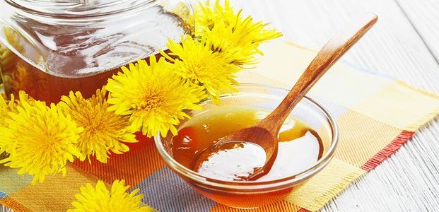 Мед из одуванчиков – рецепты укрепляющего продукта
