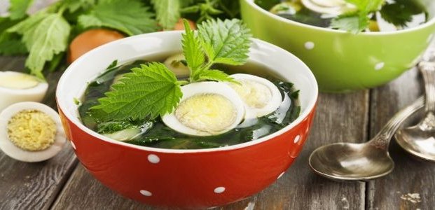Суп из крапивы – рецепты полезного блюда