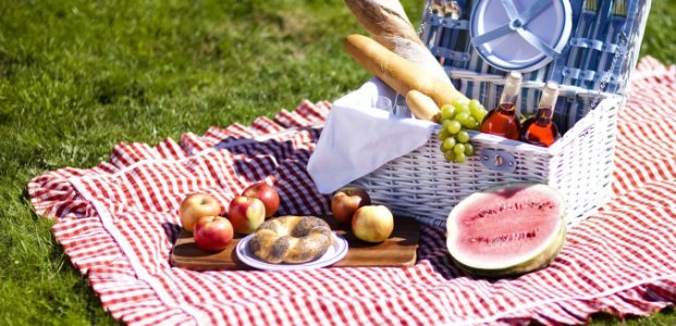 Блюда для пикника – рецепты и полезные советы
