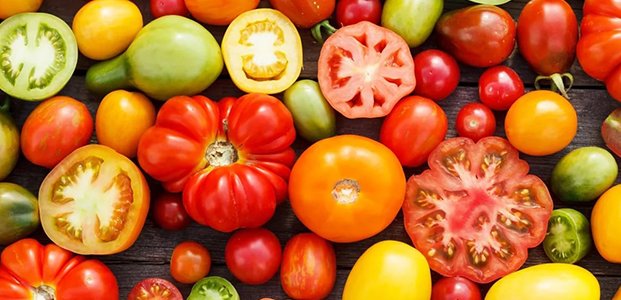 Лучшие сорта томатов для теплиц — описание и характеристики