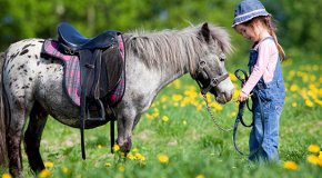 Иппотерапия — как проходит лечение лошадьми?