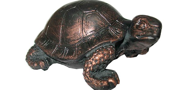 Черепаха по фэн-шуй — символ мудрости