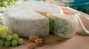 Сыр с плесенью — польза и вред изысканного продукта