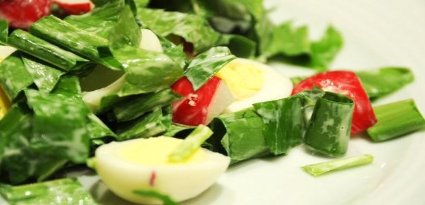 Салат из черемши: простые и вкусные рецепты