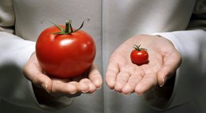 11 продуктов ГМО, которых следует опасаться