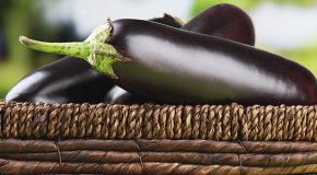 Баклажаны – полезные свойства, вред и калорийность