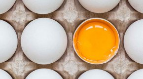 Холестерин в яйцах – опасен или нет