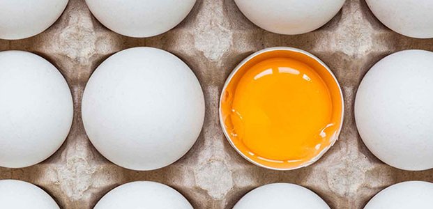Холестерин в яйцах – опасен или нет
