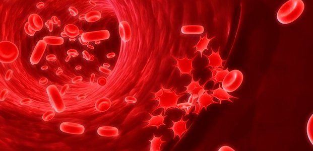 Низкий гемоглобин — причины, симптомы, методы повышения