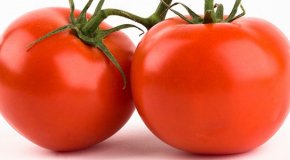 Когда сажать помидоры на рассаду по лунному календарю