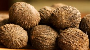 Черный орех – польза и полезные свойства