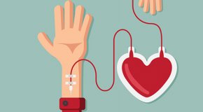 Донорство крови – польза и вред для здоровья