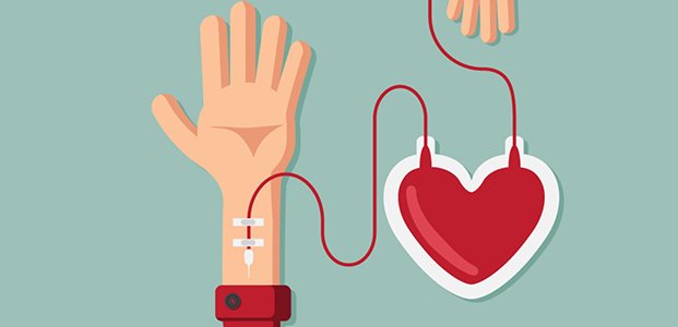 Донорство крови – польза и вред для здоровья