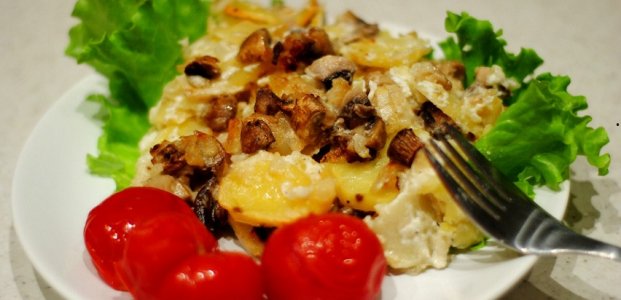 Блюда из грибов – вкусные и простые рецепты с фото