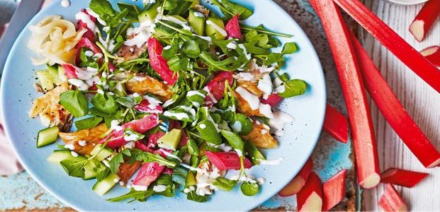 Салат из ревеня – рецепты блюда с витаминами