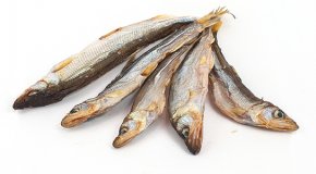 Корюшка – польза, вред и правила хранения рыбки
