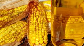 Кукурузное масло – состав, польза и вред