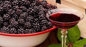 Вино из ежевики – 4 простых рецепта