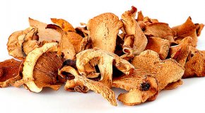 Как правильно сушить грибы в домашних условиях – духовка и иные способы