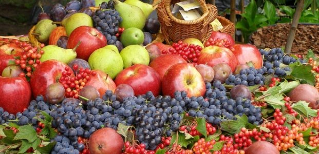 Фрукты и ягоды Крыма – что можно употреблять в сезон