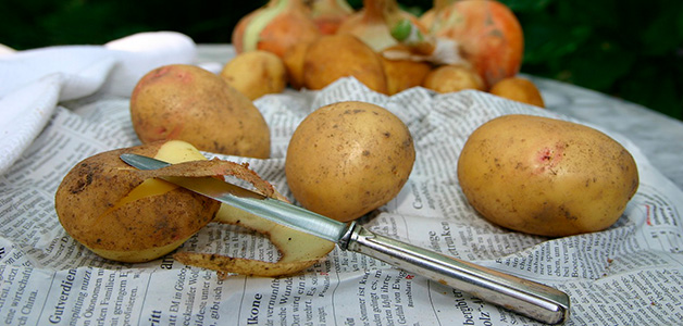 Сонник копать картошку