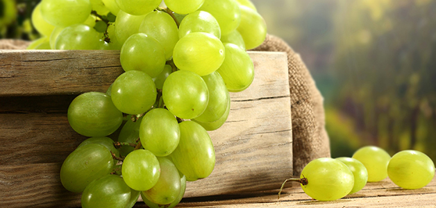 Лучшие сорта винограда 