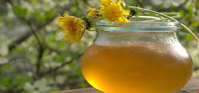 мед из цветков одуванчика 