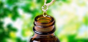 Народные средства для борьбы с клещами