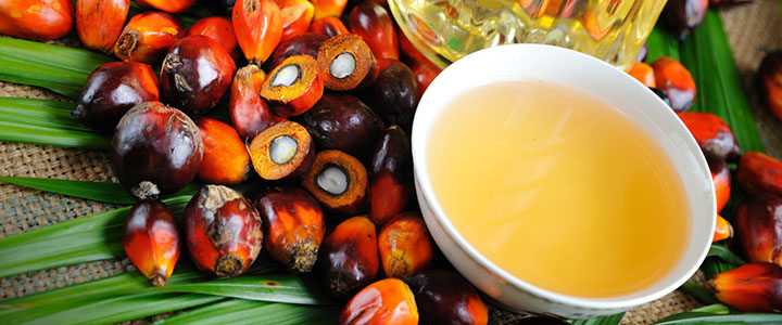Польза пальмового масла