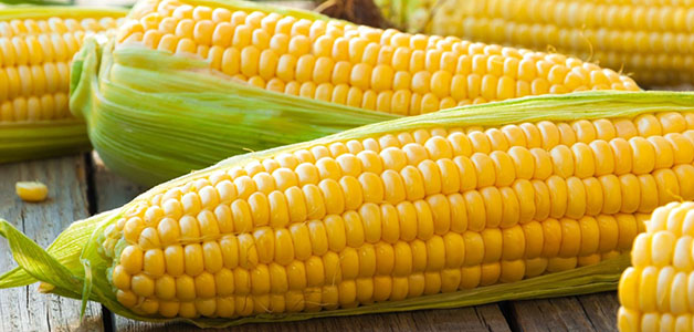 Польза кукурузы