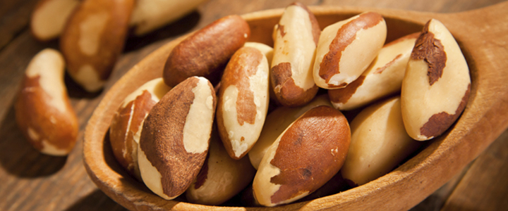 Полезные свойства бразильского ореха