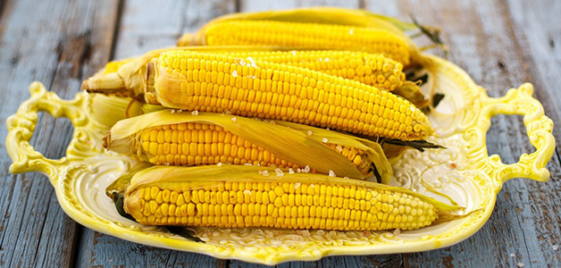 Кукуруза ГМО