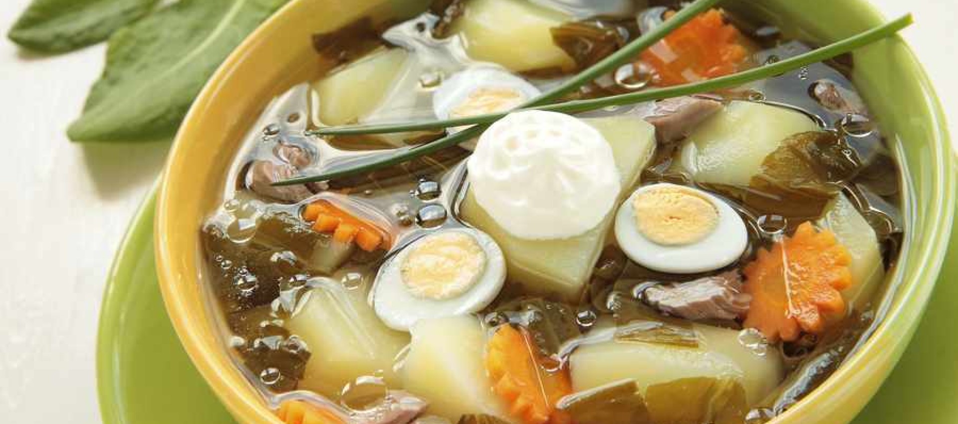 Рецепты борща с щавелем - вкусные и полезные супы