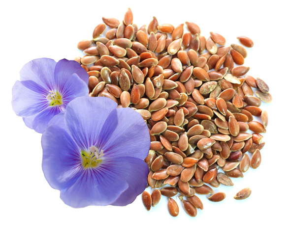 Семена льна – польза, применение и норма употребления в день