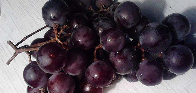 Винный сорт красного винограда 
